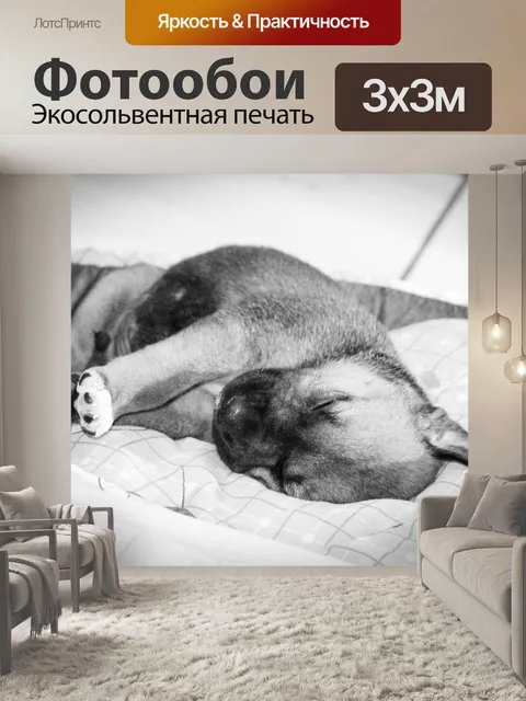 Фотообои Щенок