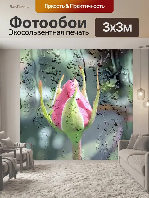 Фотообои Дождь