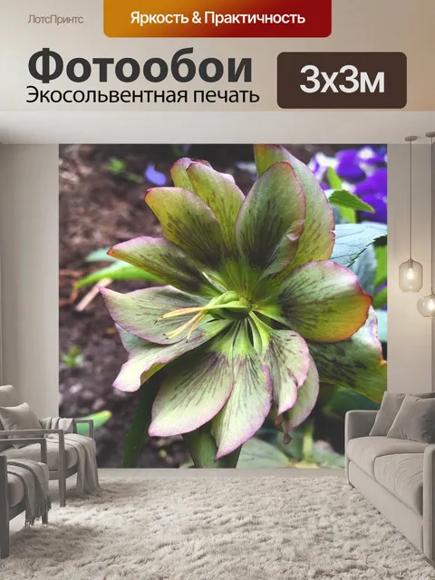 Фотообои Сад
