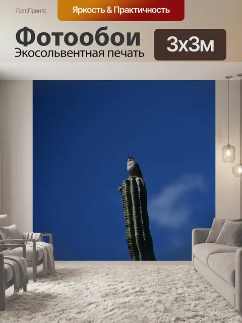 Фотообои Птица кактус
