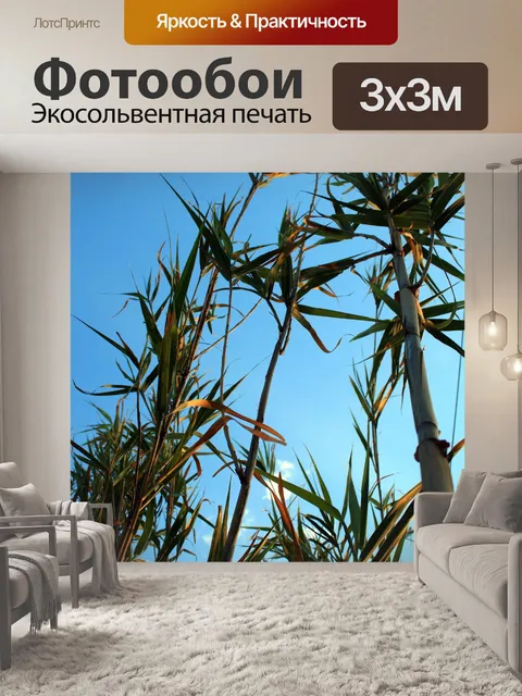 Фотообои камыш высоко