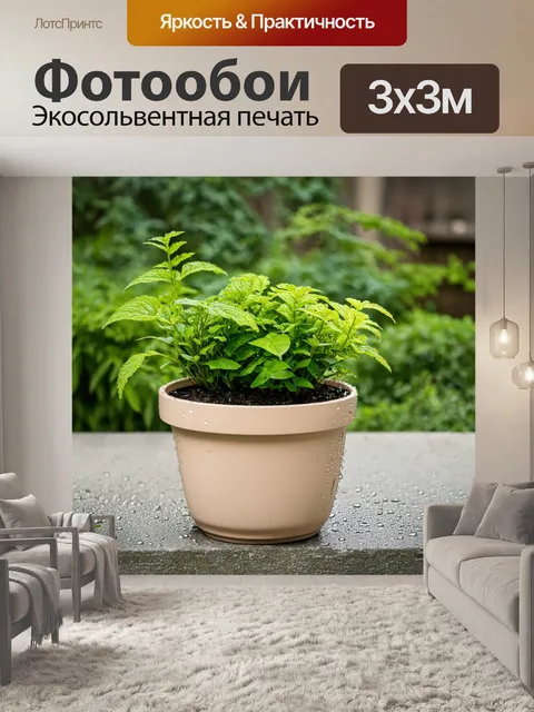 Фотообои бежевый горшок с зелеными растениями на бетонной поверхности с каплями воды