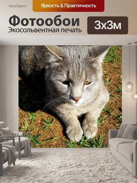 Фотообои желтые глаза Kitty