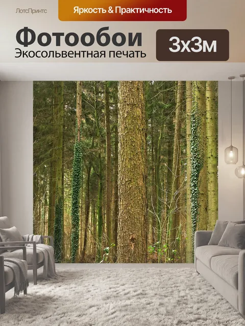 Фотообои Лес