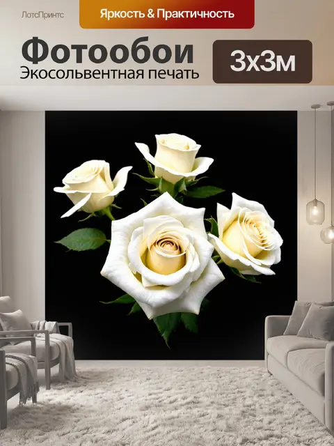 Фотообои белые розы на черном фоне