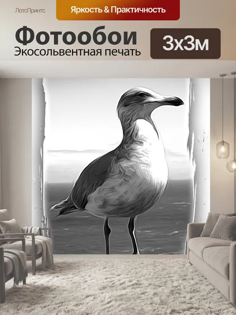 Фотообои Чайка