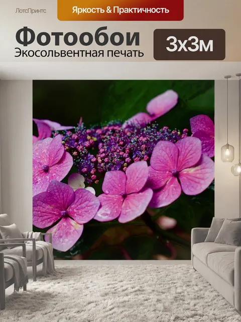 Фотообои Гортензия