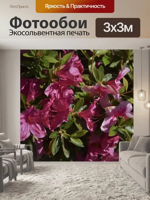 Фотообои Розовый фон Гибискус