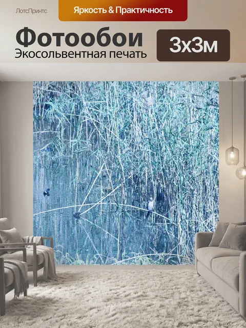 Фотообои обыкновенный вереск на плотине с тростни