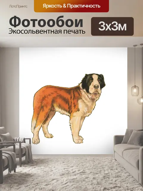 Фотообои Сенбернар собака старинный клипарт