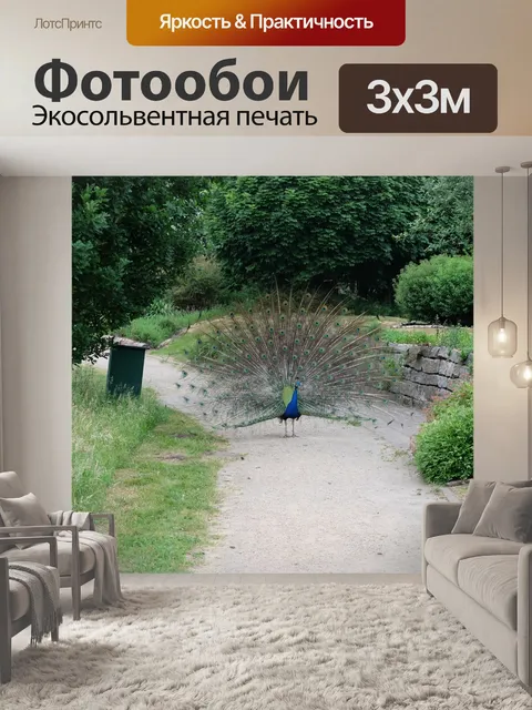 Фотообои Павлин
