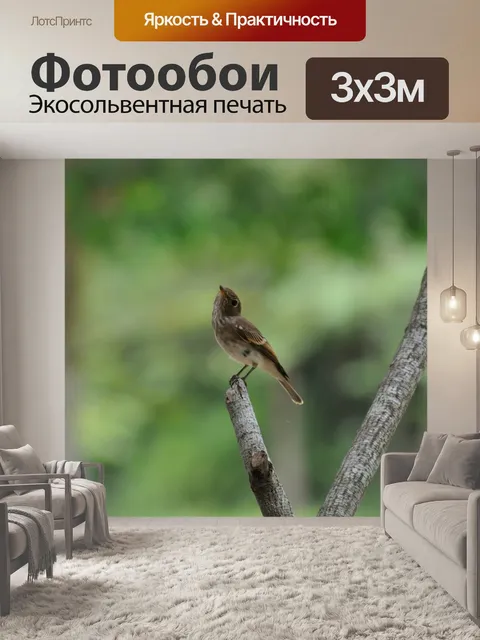 Фотообои Птица