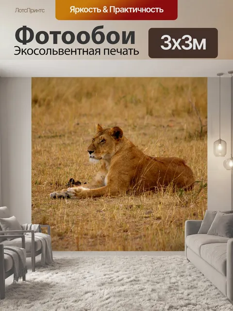 Фотообои Лев
