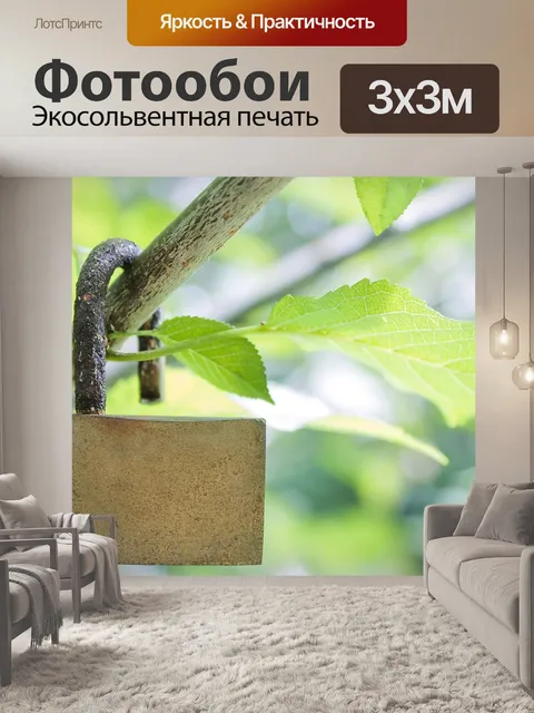 Фотообои Природа