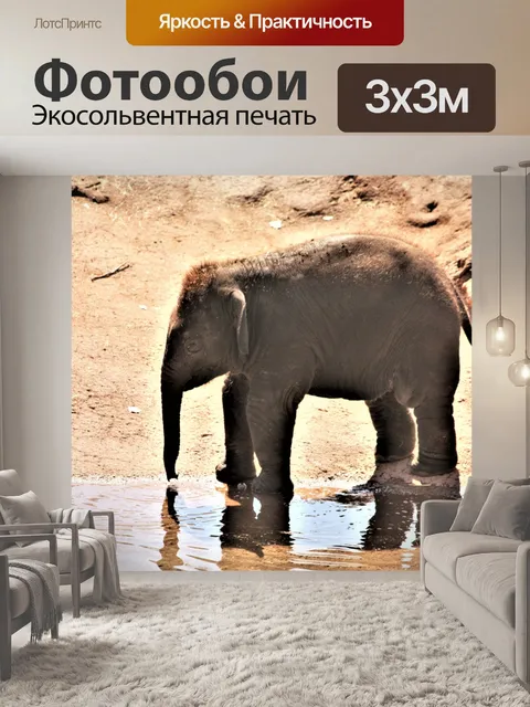 Фотообои Слоненок получает напиток