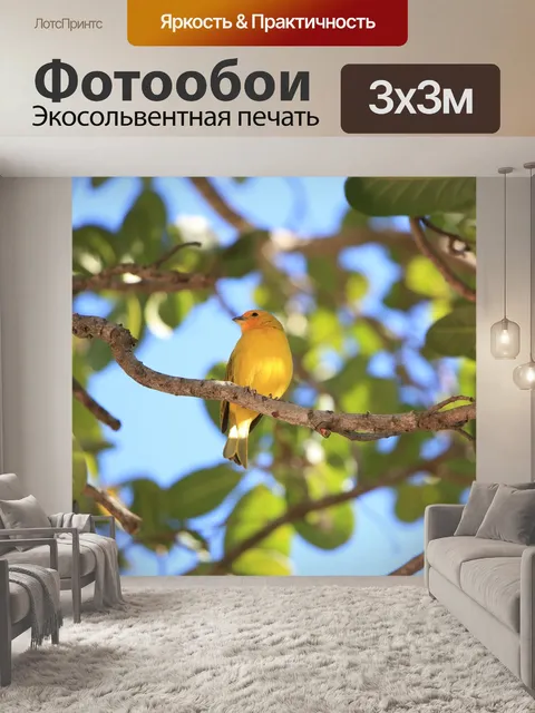 Фотообои Птица
