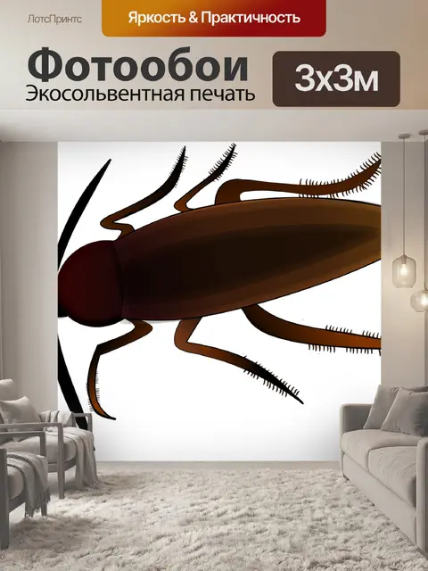 Фотообои Насекомое