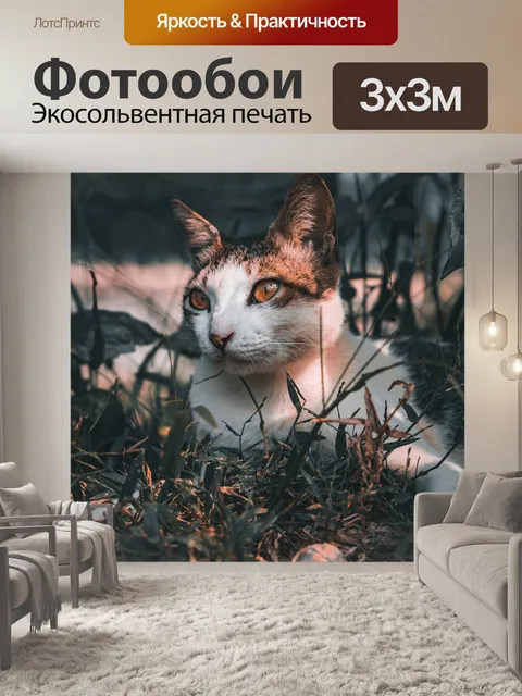 Фотообои Кошка