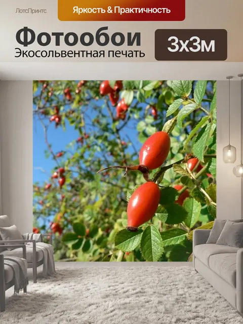 Фотообои Бедра