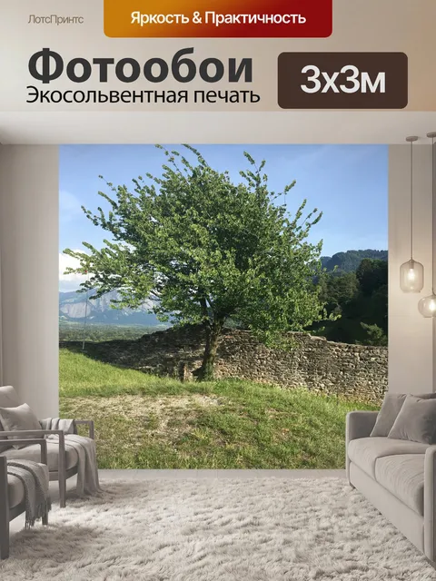 Фотообои Дерево