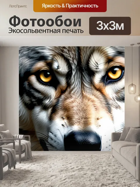 Фотообои с волком
