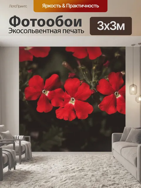 Фотообои Расцветает