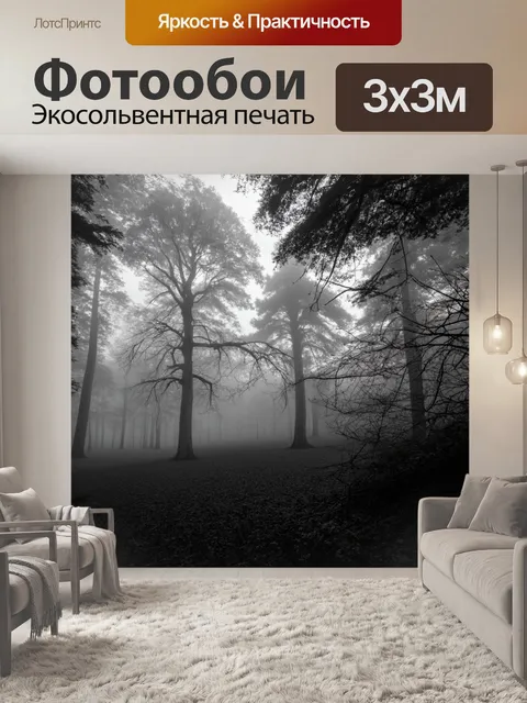 Фотообои туман в стиле черно-белый