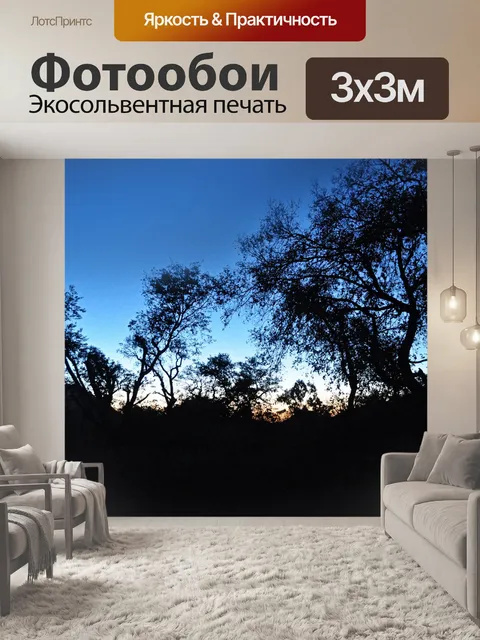 Фотообои Восход 05