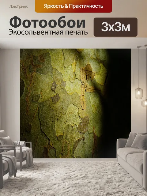 Фотообои Платан