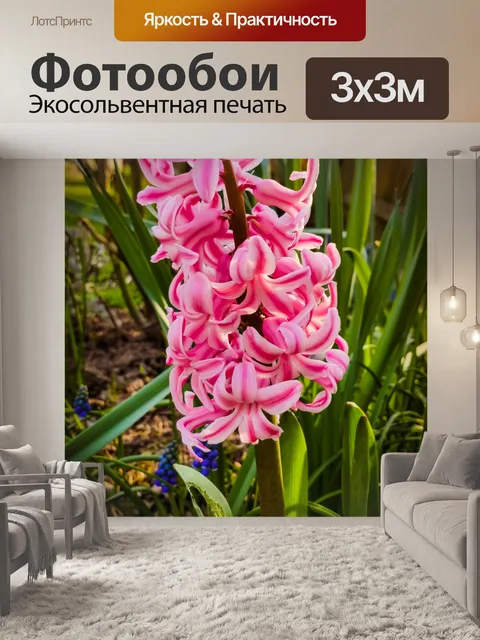 Фотообои Розовый гиацинт