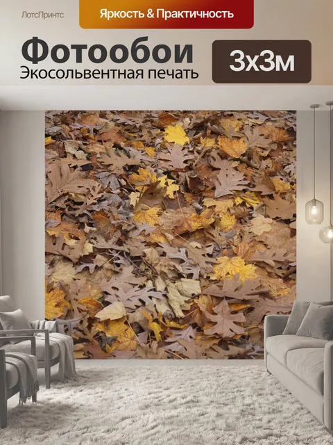 Фотообои Листья на лесной подстилке