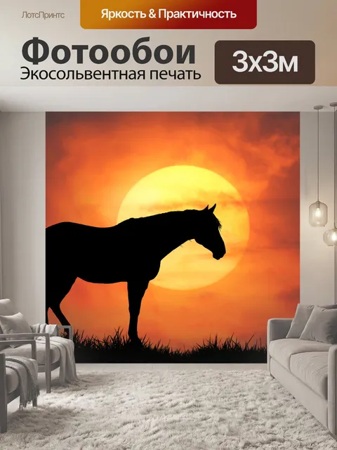Фотообои Силуэт заката