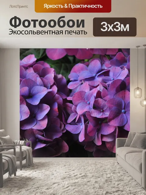 Фотообои Гортензия