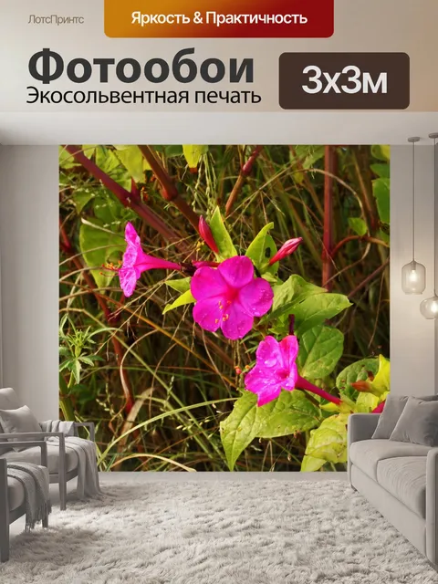 Фотообои Ярко-розовые цветы в форме трубы