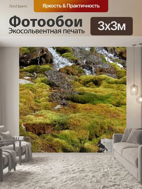 Фотообои Цветной мох и лишайник
