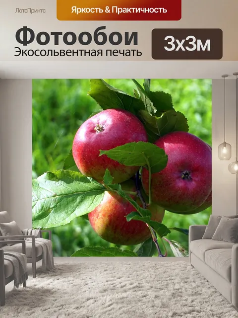 Фотообои Фрукты