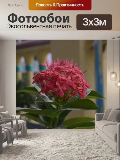 Фотообои Сезон дождей