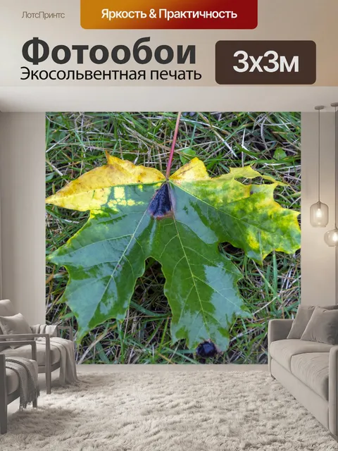 Фотообои кленовый лист