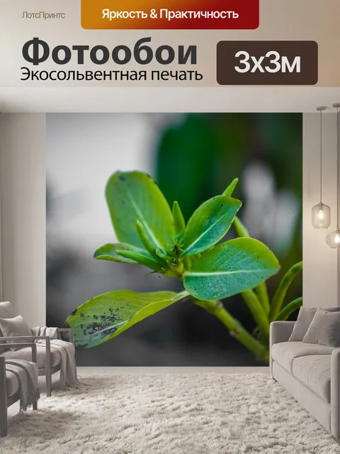 Фотообои Зеленый