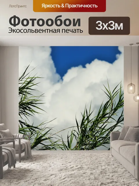 Фотообои тростник на ветру
