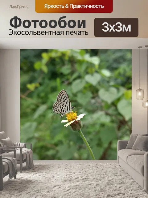 Фотообои Природа