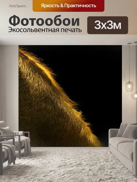 Фотообои Солнечный свет на лошади