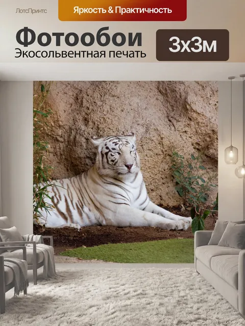 Фотообои белый тигр