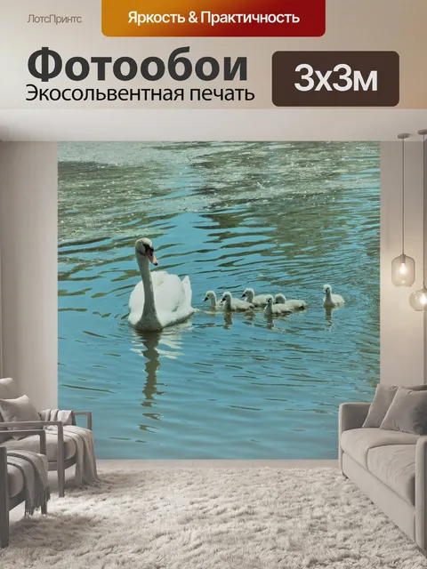Фотообои Мать-лебедь и ее детеныши