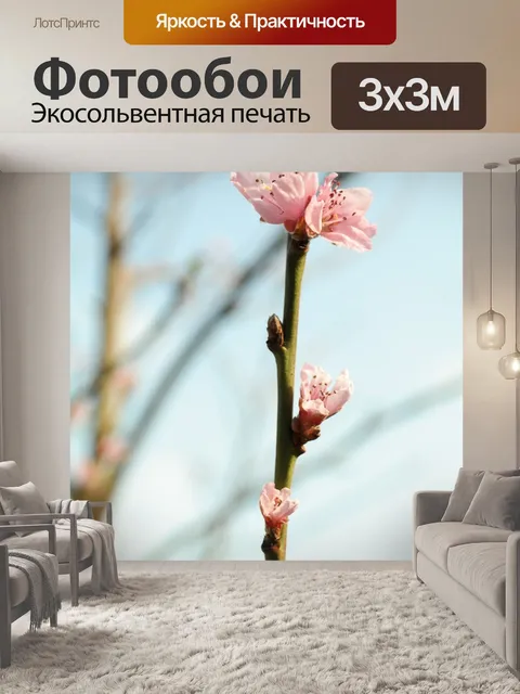 Фотообои Цвести