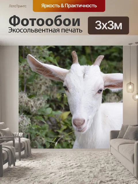 Фотообои Козленок