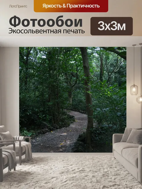 Фотообои Дорога