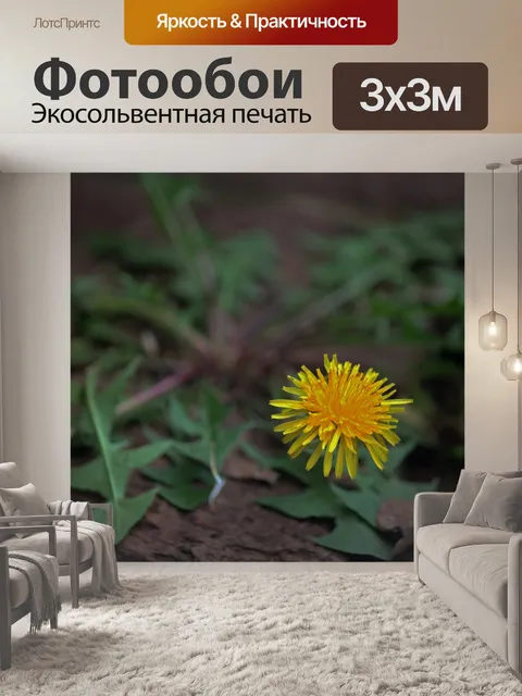 Фотообои ярко-желтый цветок одуванчика