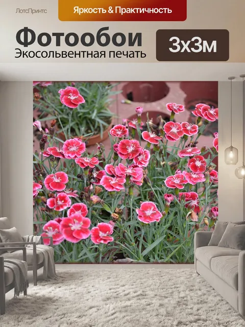 Фотообои Голландские цветы в садах 57