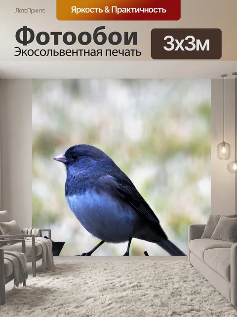 Фотообои Индиго